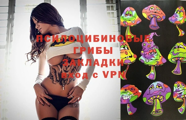 mdpv Иннополис