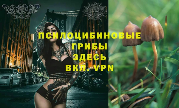 кокаин перу Инсар